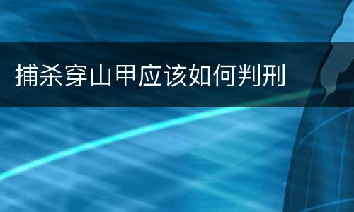 捕杀穿山甲应该如何判刑