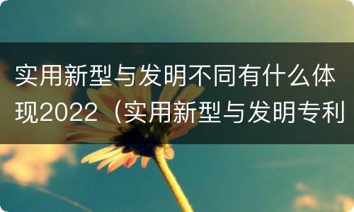 实用新型与发明不同有什么体现2022（实用新型与发明专利的区别有哪些）