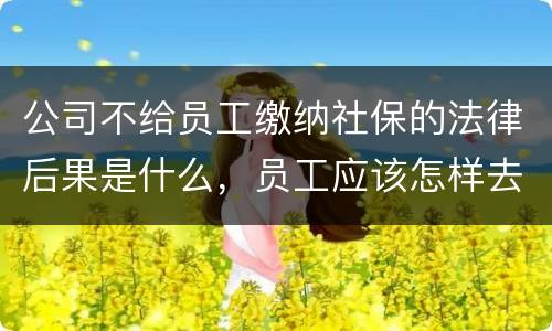 公司不给员工缴纳社保的法律后果是什么，员工应该怎样去应对