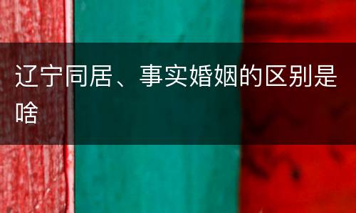 辽宁同居、事实婚姻的区别是啥