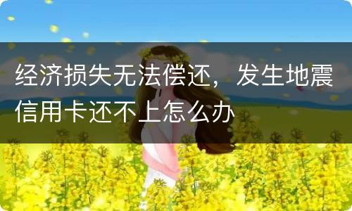 经济损失无法偿还，发生地震信用卡还不上怎么办