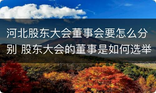 河北股东大会董事会要怎么分别 股东大会的董事是如何选举出来的?