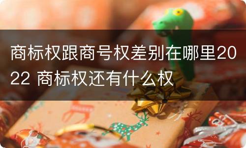 商标权跟商号权差别在哪里2022 商标权还有什么权