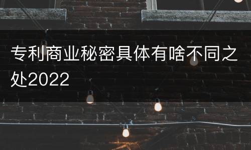 专利商业秘密具体有啥不同之处2022