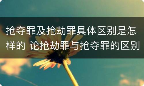 抢夺罪及抢劫罪具体区别是怎样的 论抢劫罪与抢夺罪的区别