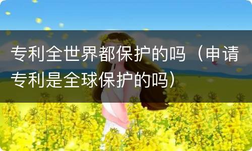 专利全世界都保护的吗（申请专利是全球保护的吗）
