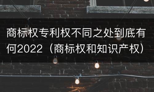 商标权专利权不同之处到底有何2022（商标权和知识产权）