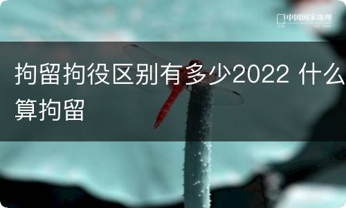 拘留拘役区别有多少2022 什么算拘留