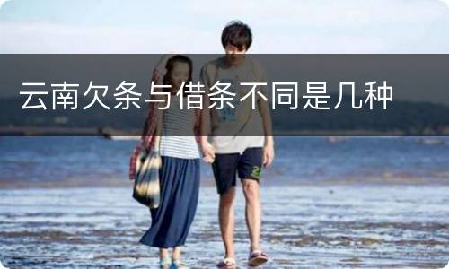 云南欠条与借条不同是几种