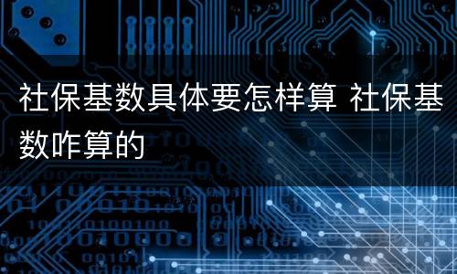 社保基数具体要怎样算 社保基数咋算的