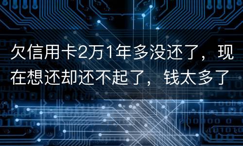 欠信用卡2万1年多没还了，现在想还却还不起了，钱太多了，会有什么后果
