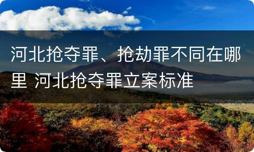 河北抢夺罪、抢劫罪不同在哪里 河北抢夺罪立案标准