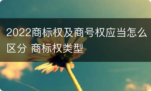 2022商标权及商号权应当怎么区分 商标权类型