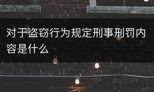 对于盗窃行为规定刑事刑罚内容是什么