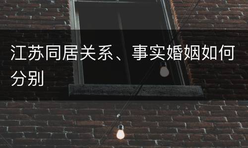 江苏同居关系、事实婚姻如何分别