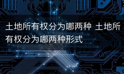 土地所有权分为哪两种 土地所有权分为哪两种形式