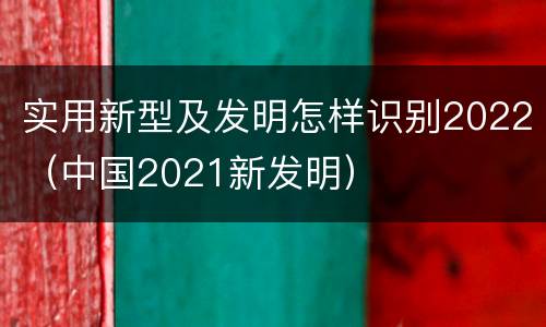 实用新型及发明怎样识别2022（中国2021新发明）
