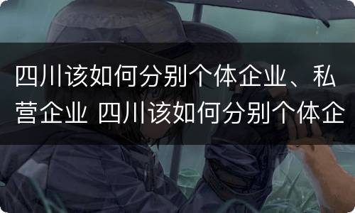 四川该如何分别个体企业、私营企业 四川该如何分别个体企业,私营企业有哪些