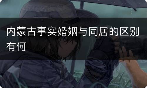 内蒙古事实婚姻与同居的区别有何