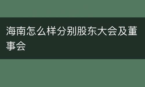 海南怎么样分别股东大会及董事会