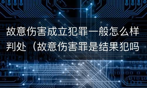 故意伤害成立犯罪一般怎么样判处（故意伤害罪是结果犯吗）
