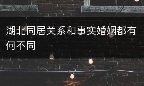 湖北同居关系和事实婚姻都有何不同
