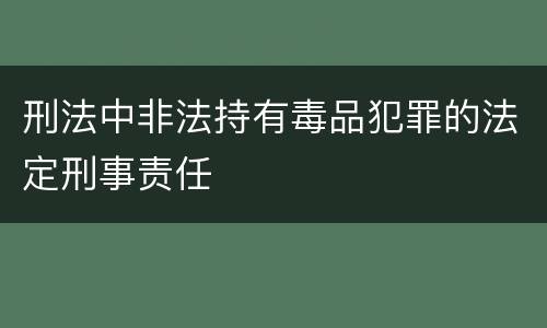 刑法中非法持有毒品犯罪的法定刑事责任