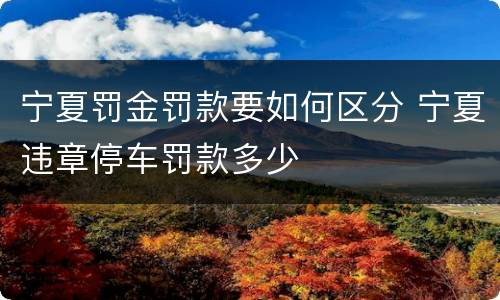 宁夏罚金罚款要如何区分 宁夏违章停车罚款多少