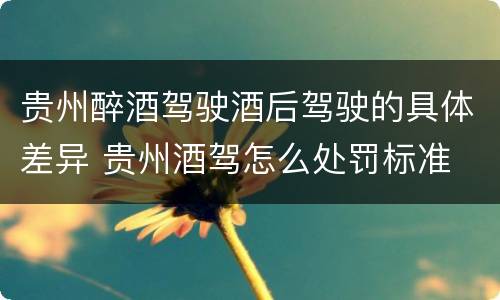 贵州醉酒驾驶酒后驾驶的具体差异 贵州酒驾怎么处罚标准