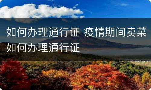 如何办理通行证 疫情期间卖菜如何办理通行证