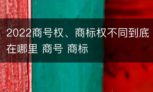 2022商号权、商标权不同到底在哪里 商号 商标