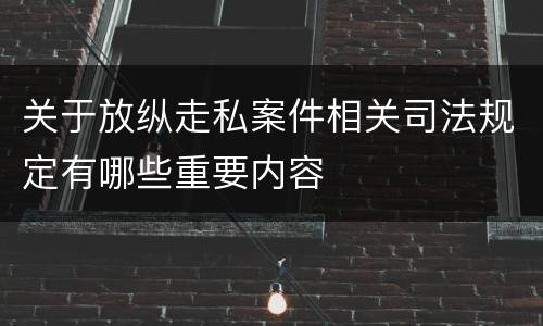 关于放纵走私案件相关司法规定有哪些重要内容