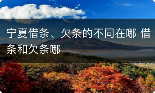 宁夏借条、欠条的不同在哪 借条和欠条哪