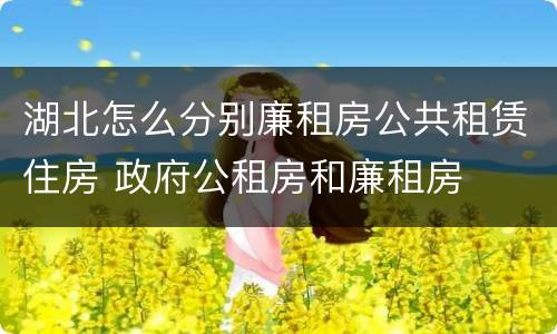 湖北怎么分别廉租房公共租赁住房 政府公租房和廉租房