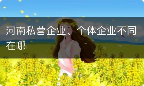 河南私营企业、个体企业不同在哪
