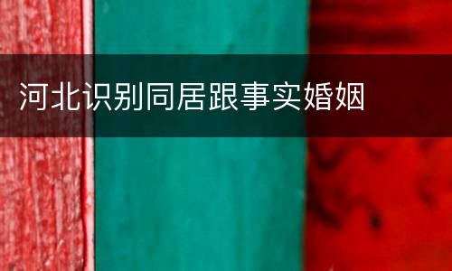 河北识别同居跟事实婚姻