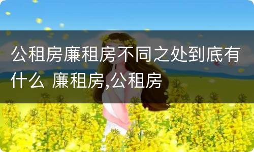 公租房廉租房不同之处到底有什么 廉租房,公租房