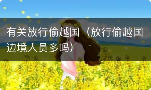 有关放行偷越国（放行偷越国边境人员多吗）