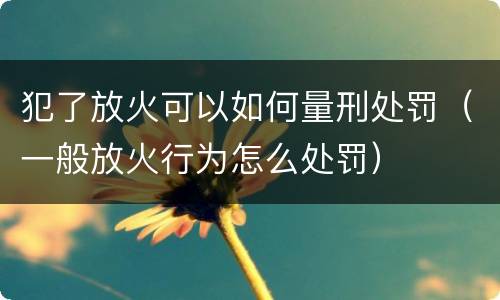 犯了放火可以如何量刑处罚（一般放火行为怎么处罚）