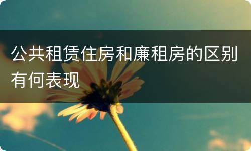 公共租赁住房和廉租房的区别有何表现