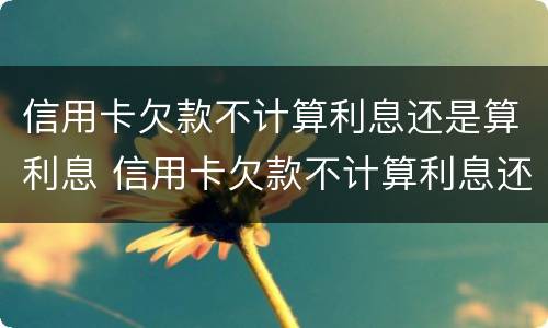 信用卡欠款不计算利息还是算利息 信用卡欠款不计算利息还是算利息呢