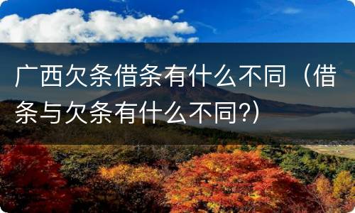 广西欠条借条有什么不同（借条与欠条有什么不同?）