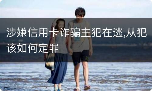 涉嫌信用卡诈骗主犯在逃,从犯该如何定罪