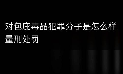对包庇毒品犯罪分子是怎么样量刑处罚
