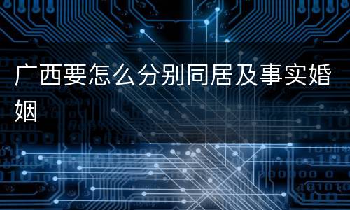 广西要怎么分别同居及事实婚姻