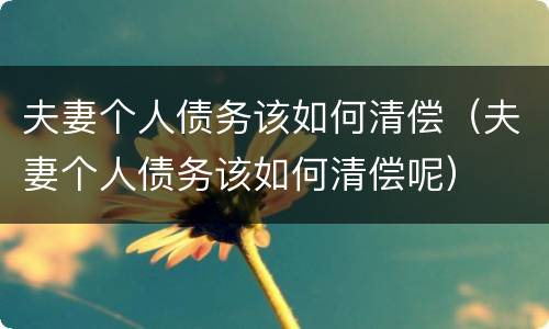 夫妻个人债务该如何清偿（夫妻个人债务该如何清偿呢）