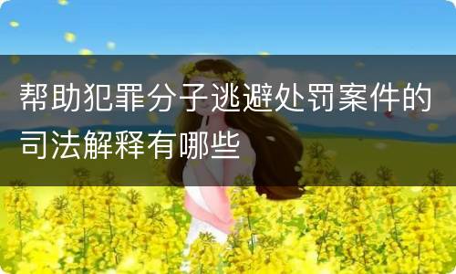 帮助犯罪分子逃避处罚案件的司法解释有哪些
