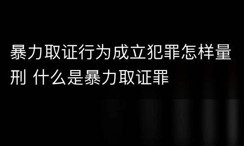 暴力取证行为成立犯罪怎样量刑 什么是暴力取证罪