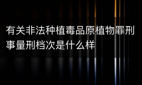 有关非法种植毒品原植物罪刑事量刑档次是什么样