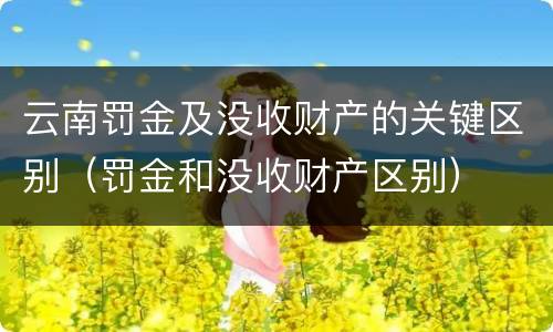 云南罚金及没收财产的关键区别（罚金和没收财产区别）